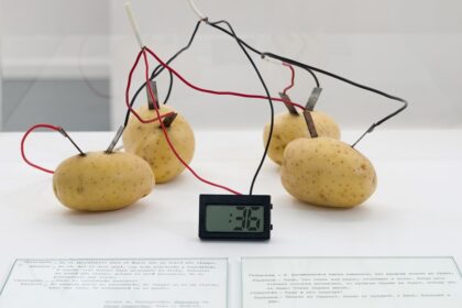 papas,-cables-y-arte:-una-muestra-en-fan-revisita-el-legado-de-victor-grippo-en-buenos-aires