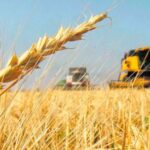 crecimiento-en-economico-en-“k”:-cuales-son-los-ganadores-y-perdedores-del-modelo-milei