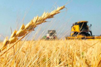 crecimiento-en-economico-en-“k”:-cuales-son-los-ganadores-y-perdedores-del-modelo-milei