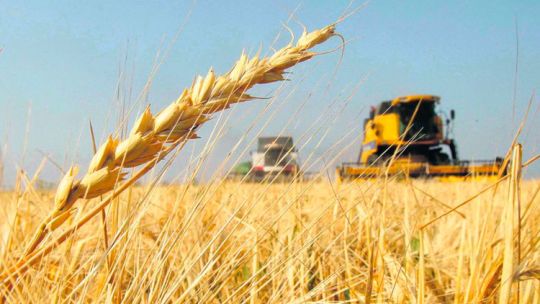 crecimiento-en-economico-en-“k”:-cuales-son-los-ganadores-y-perdedores-del-modelo-milei