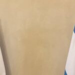 la-embajada-rusa-nego-una-campana-de-desinformacion-y-hablo-de-un-intento-de-“enturbiar”-la-relacion-con-argentina