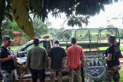 capturaron-a-tres-cazadores-furtivos-tras-una-persecucion-en-una-zona-rural-de-montecarlo