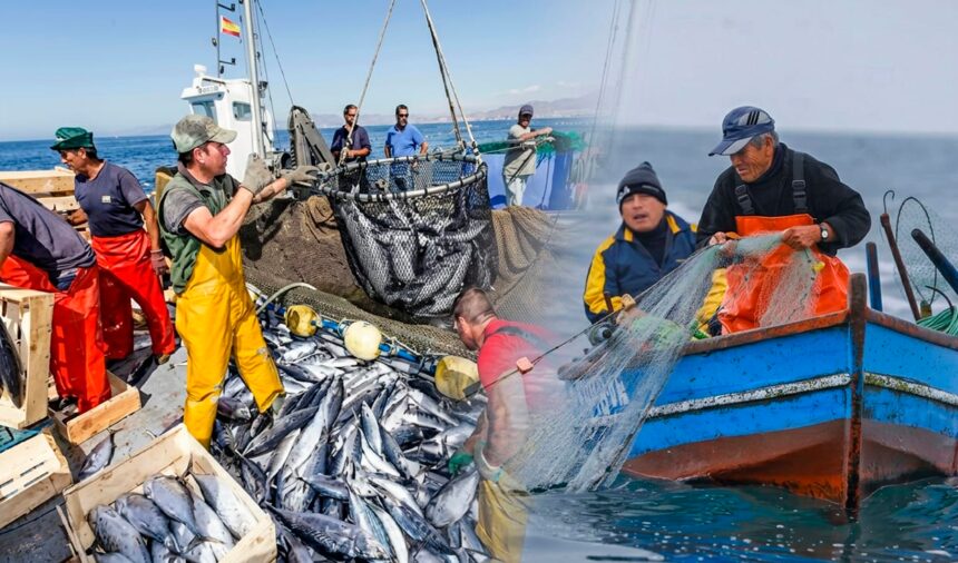 exportaciones-pesqueras-para-consumo-humano-directo-crecen-125.1%-en-enero
