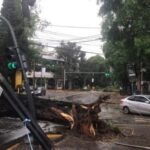 el-violento-temporal-en-el-amba:-inundaciones,-agua-en-las-casas,-destrozos-y-miles-de-usuarios-sin-luz