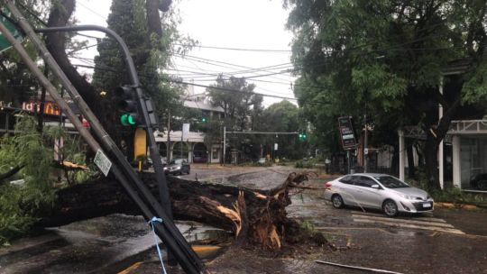 el-violento-temporal-en-el-amba:-inundaciones,-agua-en-las-casas,-destrozos-y-miles-de-usuarios-sin-luz