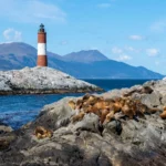 salmon-farming-is-coming-to-the-end-of-the-world