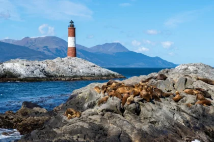 salmon-farming-is-coming-to-the-end-of-the-world