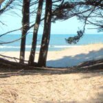 queda-a-4-horas-de-caba:-la-playa-dentro-de-un-bosque-ideal-para-el-finde-largo