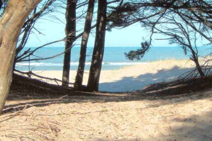 queda-a-4-horas-de-caba:-la-playa-dentro-de-un-bosque-ideal-para-el-finde-largo