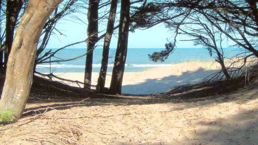 queda-a-4-horas-de-caba:-la-playa-dentro-de-un-bosque-ideal-para-el-finde-largo