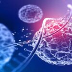 hasta-que-el-adn-dijo-basta:-el-experimento-que-encontro-el-limite-de-la-clonacion