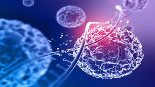 hasta-que-el-adn-dijo-basta:-el-experimento-que-encontro-el-limite-de-la-clonacion