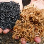 biocarbon:-el-“oro-negro”-que-gana-protagonismo-en-el-mercado-de-carbono-de-largo-plazo
