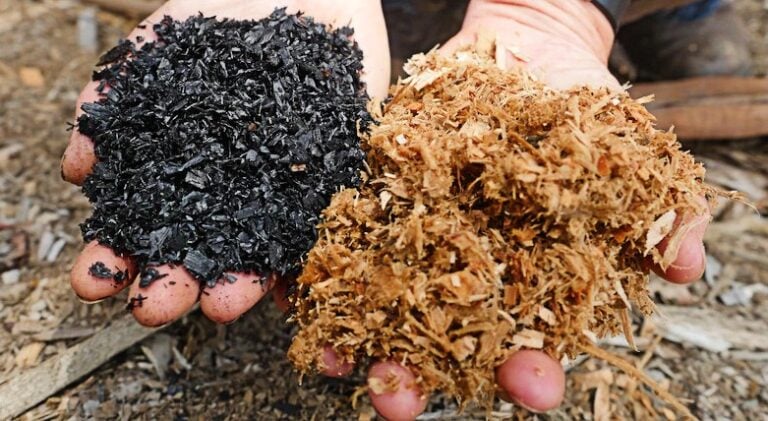biocarbon:-el-“oro-negro”-que-gana-protagonismo-en-el-mercado-de-carbono-de-largo-plazo