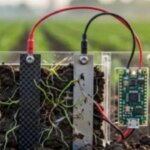 electricidad-desde-el-suelo:-crean-una-pila-que-funciona-con-microorganismos-y-podria-cambiar-la-energia