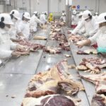 acuerdo-mercosur-ue:-estiman-que-las-exportaciones-argentinas-podrian-duplicarse-en-cinco-anos