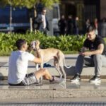 clima-en-ciudad-de-buenos-aires:-temperaturas-agradables-y-cielo-nublado-para-disfrutar-el-feriado