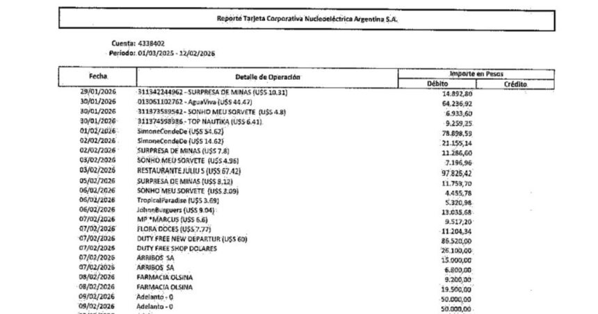 free-shop,-hoteles-de-lujo-y-millones-en-efectivo:-el-informe-de-adorni-revelo-los-gastos-millonarios-de-una-empresa-del-estado
