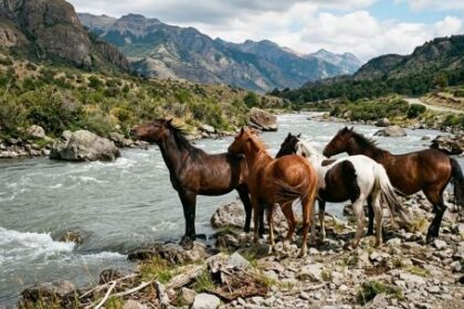 la-leccion-de-los-caballos-y-el-rio:-por-que-vivimos-desconectados