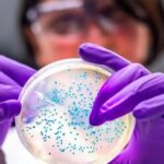 presentaron-un-nuevo-farmaco-contra-las-“superbacterias-intrahospitalarias”