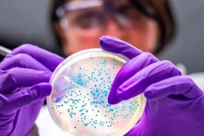 presentaron-un-nuevo-farmaco-contra-las-“superbacterias-intrahospitalarias”