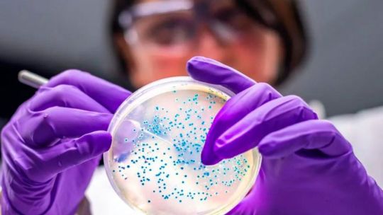 presentaron-un-nuevo-farmaco-contra-las-“superbacterias-intrahospitalarias”