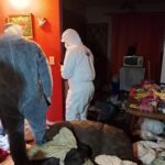 hallaron-un-cuerpo-en-descomposicion-en-un-departamento-de-la-chacra-32-33-de-posadas