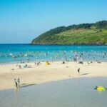 visit7wonders:-corea-del-sur-se-consolida-como-uno-de-los-destinos-mas-visitados-de-asia-y-tiene-buenas-expectativas-para-este-2026