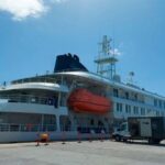 que-es-el-hantavirus-y-como-se-contagia:-la-infeccion-que-mato-a-tres-pasajeros-en-un-crucero-de-lujo-que-salio-de-ushuaia