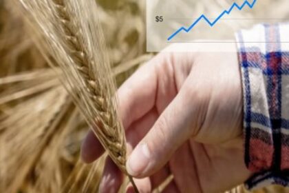 el-trigo-se-dispara-por-la-guerra-y-la-menor-oferta-global:-¿cambian-los-planes-de-siembra-de-los-productores-argentinos?