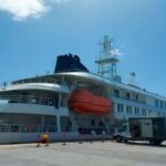 ‘low’-risk-to-public-of-hantavirus-after-cruise-ship-deaths,-who-says