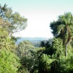 misiones-|-egresaron-de-la-unam-los-primeros-profesionales-en-gestion-para-la-accion-climatica-con-foco-en-proyectos-financiables