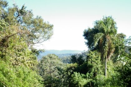 misiones-|-egresaron-de-la-unam-los-primeros-profesionales-en-gestion-para-la-accion-climatica-con-foco-en-proyectos-financiables
