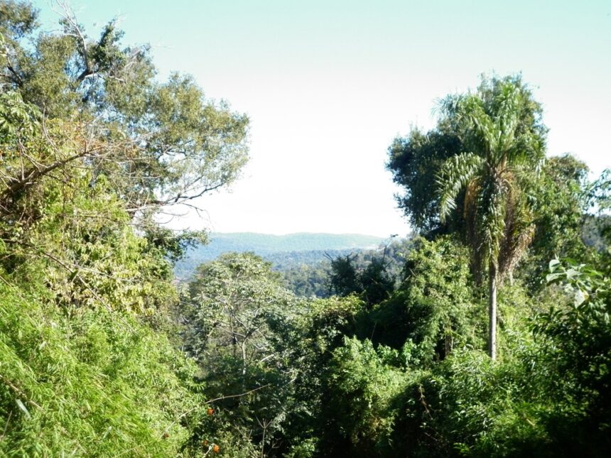 misiones-|-egresaron-de-la-unam-los-primeros-profesionales-en-gestion-para-la-accion-climatica-con-foco-en-proyectos-financiables