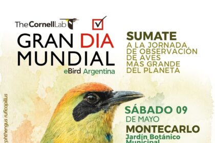 montecarlo-se-suma-al-dia-mundial-de-observacion-de-aves