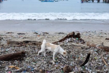 la-otra-cara-del-paraiso:-la-isla-de-bali-se-«ahoga»-bajo-toneladas-de-basura-plastica