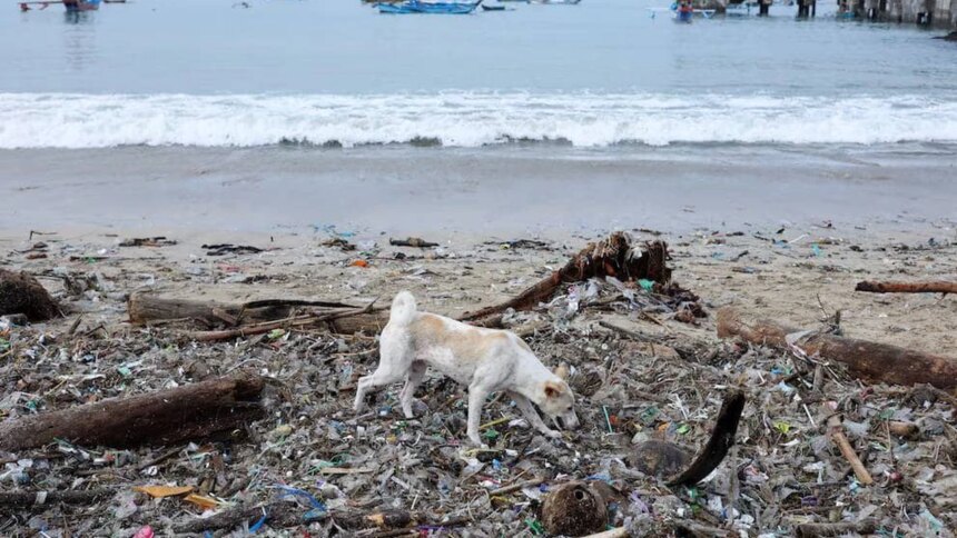 la-otra-cara-del-paraiso:-la-isla-de-bali-se-«ahoga»-bajo-toneladas-de-basura-plastica