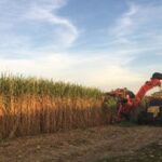 “extrema-gravedad”:-en-plena-zafra-azucarera-advierten-por-una-norma-del-gobierno-sobre-el-abastecimiento-de-gas-natural