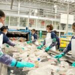 se-reglamento-el-rifl-que-reduce-las-contribuciones-patronales-para-nuevas-contrataciones