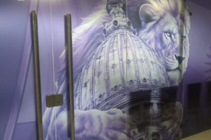 dirigentes-de-la-libertad-avanza-reemplazaron-la-bandera-argentina-de-una-sala-en-el-anexo-del-congreso-por-un-leon