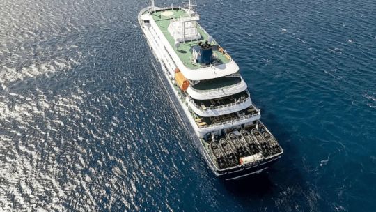 la-oms-brindo-informacion-de-como-se-desarrollo-el-brote-mortal-de-hantavirus-en-el-crucero-que-partio-de-ushuaia