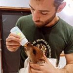 conoce-el-trabajo-de-rehabilitacion-de-la-fauna-silvestre-que-lleva-adelante-el-centro-guira-oga-en-misiones