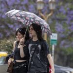 clima-en-bahia-blanca:-alerta-naranja-por-tormentas-severas,-caida-de-granizo-y-rafagas-fuertes