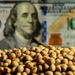 entrada-de-divisas-a-traves-del-agro:-“este-2026-podemos-llegar-a-tener-una-liquidacion-de-29.600-millones”