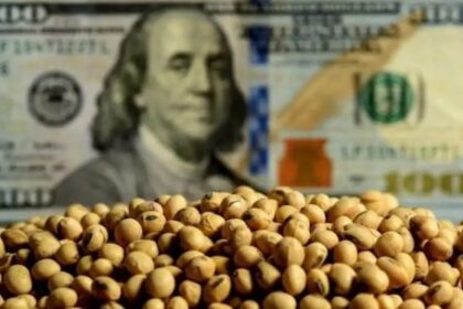entrada-de-divisas-a-traves-del-agro:-“este-2026-podemos-llegar-a-tener-una-liquidacion-de-29.600-millones”