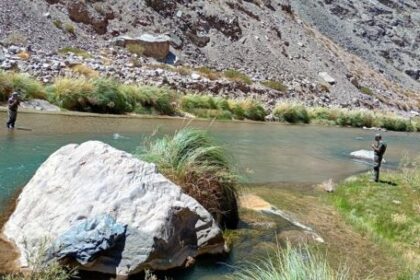 nueva-normativa-en-san-juan:-comenzo-la-veda-y-refuerzan-el-cuidado-de-la-fauna-icticola