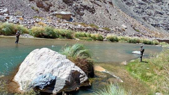 nueva-normativa-en-san-juan:-comenzo-la-veda-y-refuerzan-el-cuidado-de-la-fauna-icticola