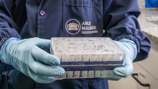 hantavirus:-argentina-envia-insumos-para-diagnostico-a-los-paises-que-investigan-a-los-afectados
