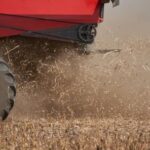 argentina-fights-to-save-huge-soy-exports-after-dutch-rejections