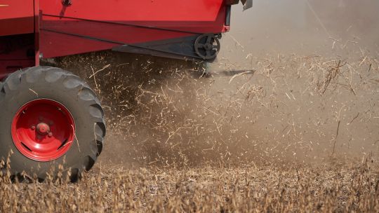 argentina-fights-to-save-huge-soy-exports-after-dutch-rejections